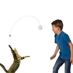 Deluxe Cat Toy
