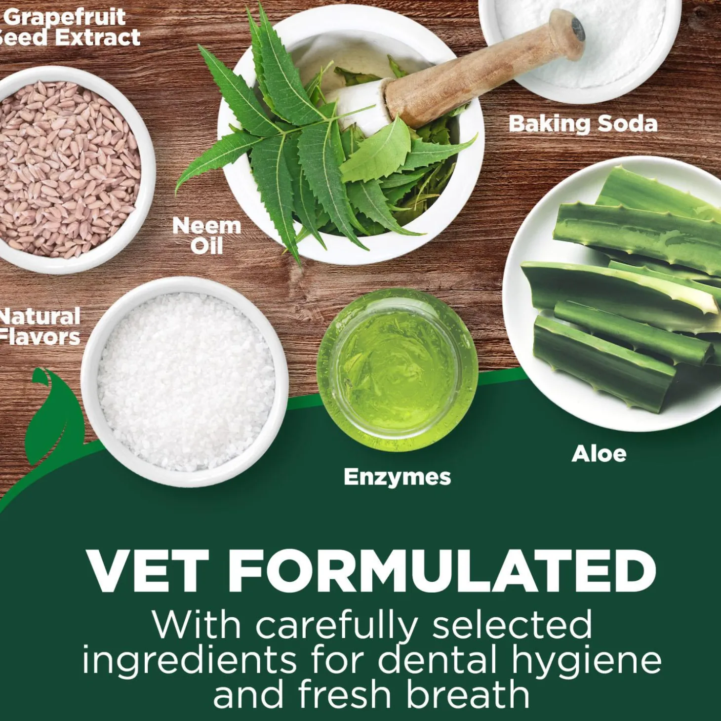 Dental Care Puppy Kit