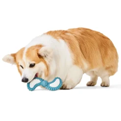 Dental Semi Ball Disk Dog Toy
