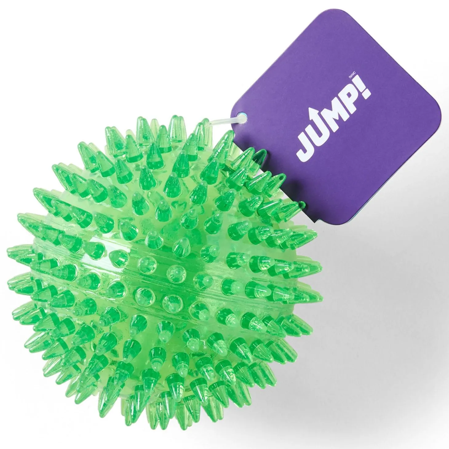 Dental Squeaker Ball Green Dog Toy