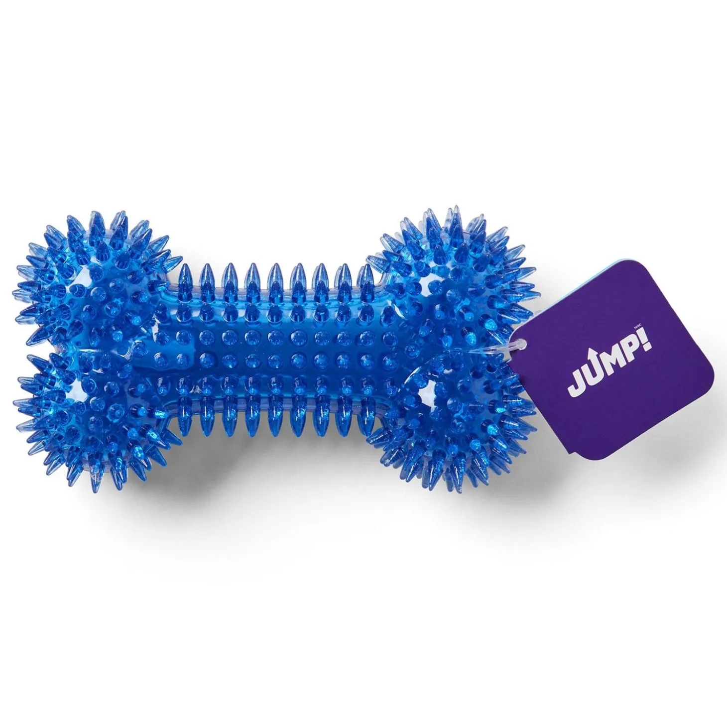 Dental Squeaker Bone Blue Dog Toy