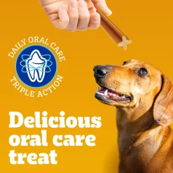 DENTASTIX Daily Original Small Breed Dog Treats