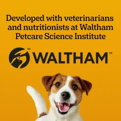 DENTASTIX Daily Original Medium Breed Dog Treats