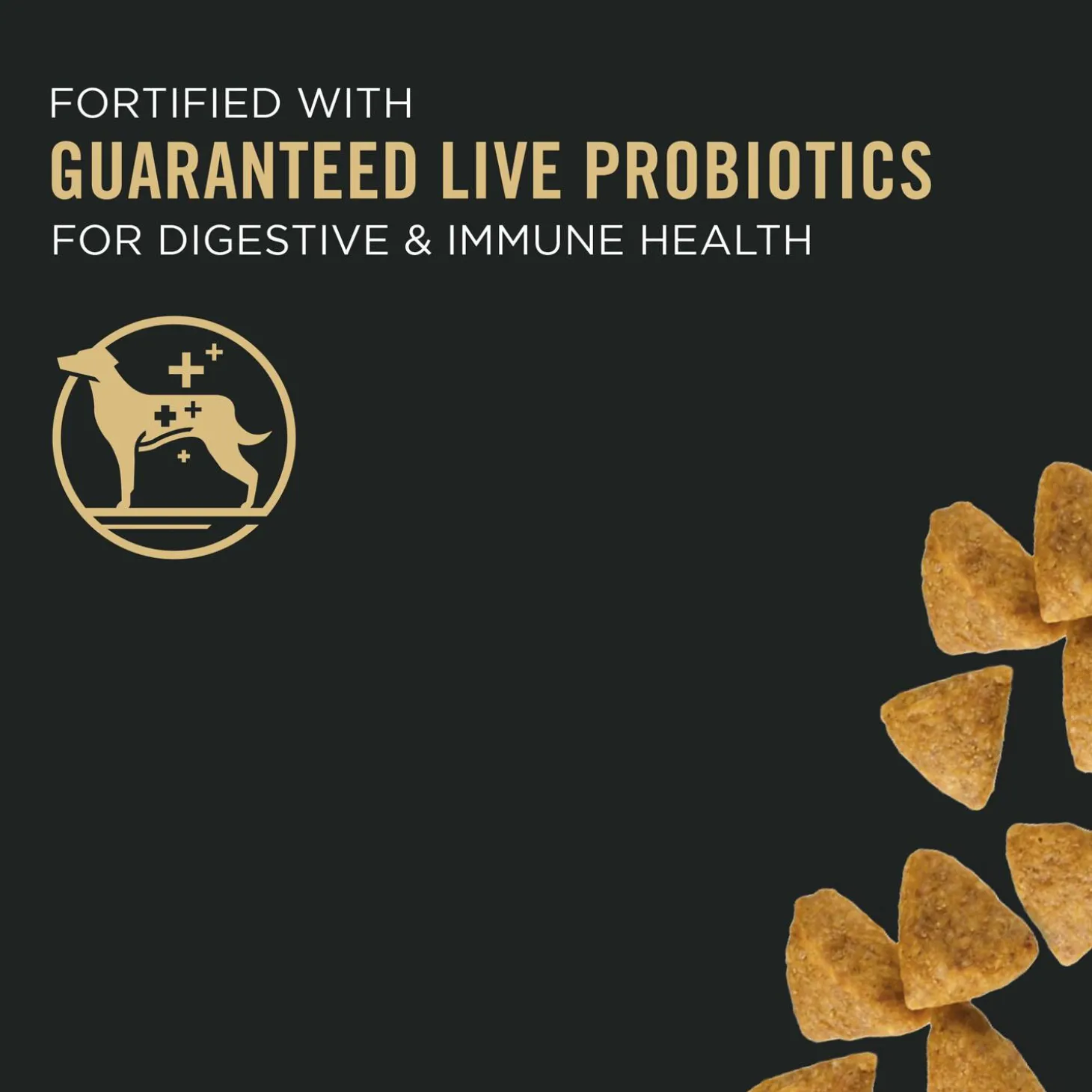 Development Chicken & Rice Formula Small Breed Puppy Dog Food