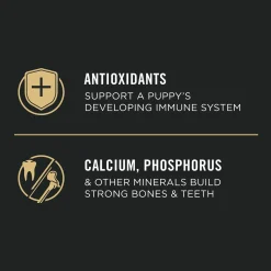 Development Chicken & Rice Formula Puppy Dog Food