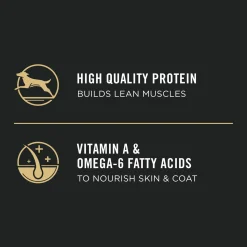 Development Chicken & Rice Formula Puppy Dog Food