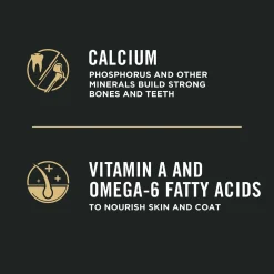 Development Sensitive Skin & Stomach Lamb & Oatmeal Formula Puppy Dog Food