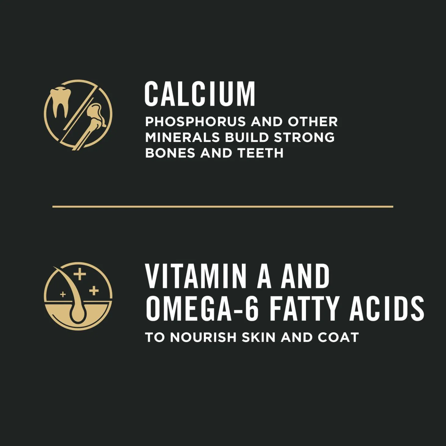 Development Sensitive Skin & Stomach Lamb & Oatmeal Formula Puppy Dog Food