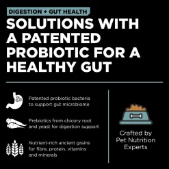 Digestion + Gut Health Chicken Recipe with Ancient Grains Cat Food