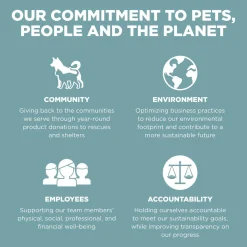 Digestion + Gut Health Chicken Recipe with Ancient Grains Cat Food