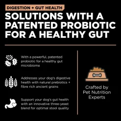 Digestion + Gut Health Salmon Recipe with Ancient Grains Dog Food