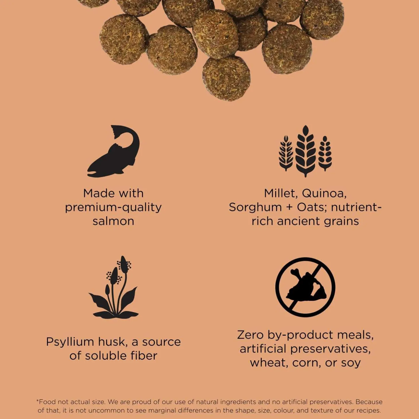 Digestion + Gut Health Salmon Recipe with Ancient Grains Dog Food