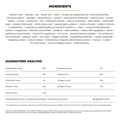 Digestion + Gut Health Salmon Recipe with Ancient Grains Dog Food