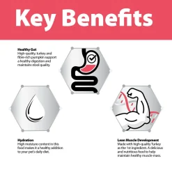 Digestion Support Turkey Formula Stew Adult Cat Food