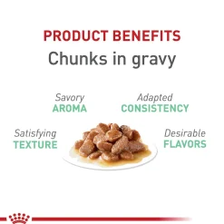 Digestive Care Chunks in Gravy Adult Cat Food