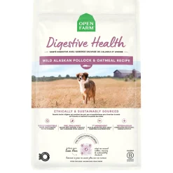Digestive Health Wild Alaskan Pollock & Oatmeal Recipe Adult Dog Food