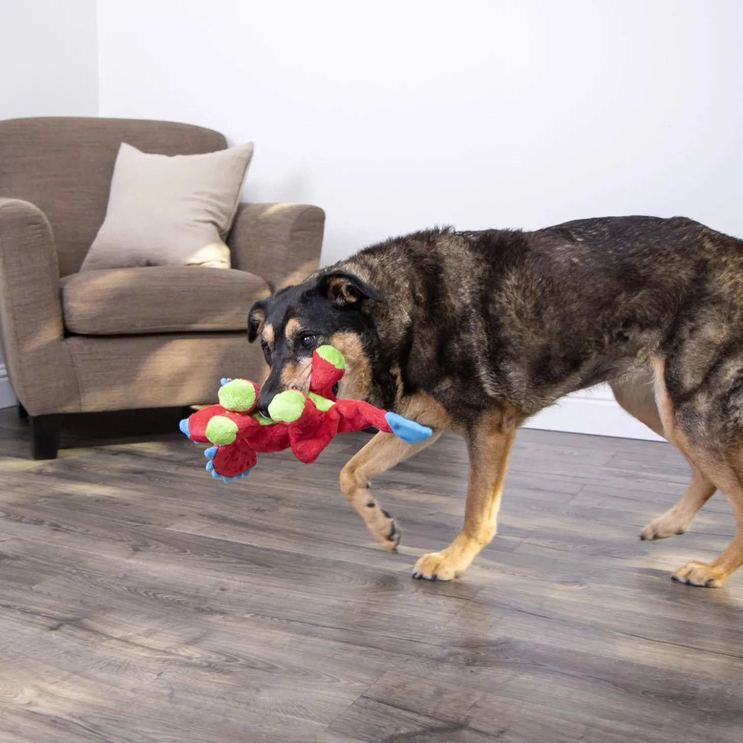 Dinos Frills Red Dog Toy