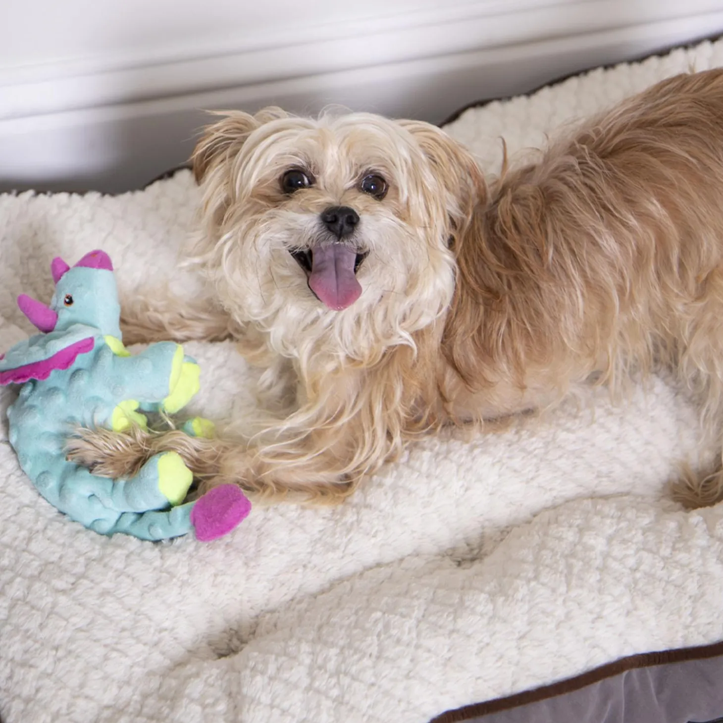 Dinos Frills Teal Dog Toy