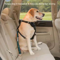 Direct to Seatbelt Coastal Blue Dog Car Tether