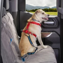 Direct to Seatbelt Coastal Blue Dog Car Tether