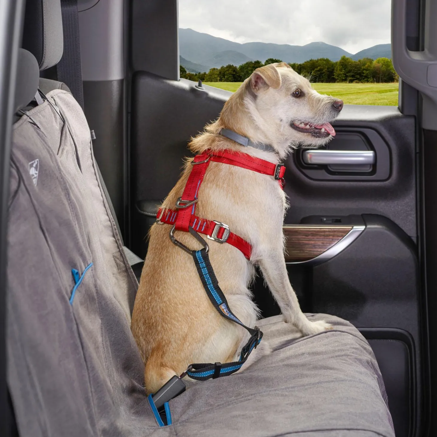 Direct to Seatbelt Coastal Blue Dog Car Tether