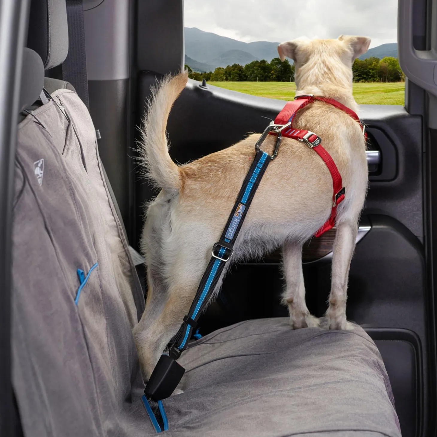 Direct to Seatbelt Coastal Blue Dog Car Tether