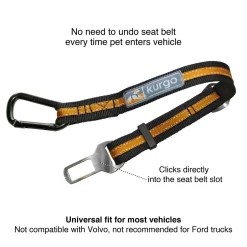 Direct to Seatbelt Dog Car Tether With Carabiner