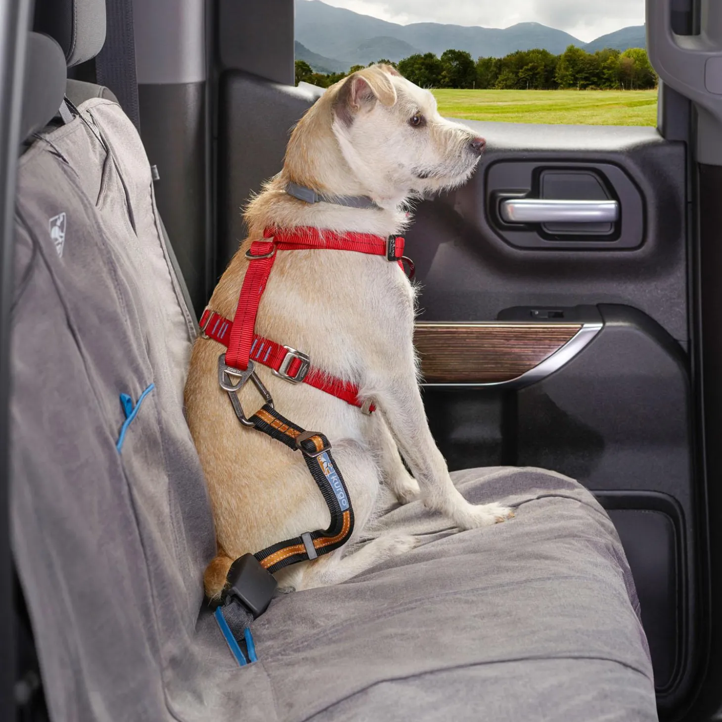 Direct to Seatbelt Dog Car Tether With Carabiner