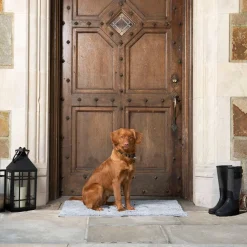 Dirty Dog Doormat Silver Grey