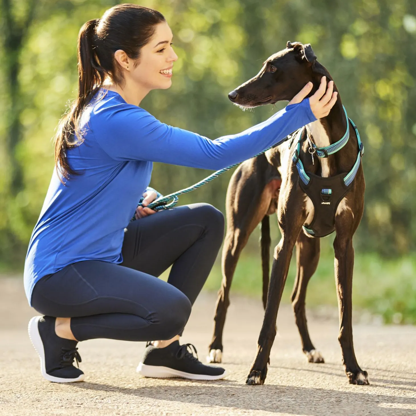 Discover Dog Reflective Multi Attachment Blue & Aqua Dog Harness
