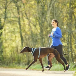 Discover Dog Reflective Rope 3/8in Blue & Aqua Dog Leash