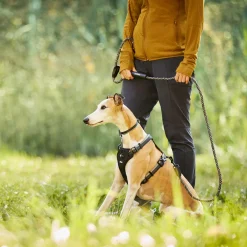 Discover Dog Reflective Rope 3/8in Black & Grey Dog Leash