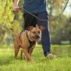 Discover Dog Reflective Rope 3/8in Black & Grey Dog Leash