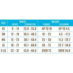 Disposable Diaper - 12 Pack