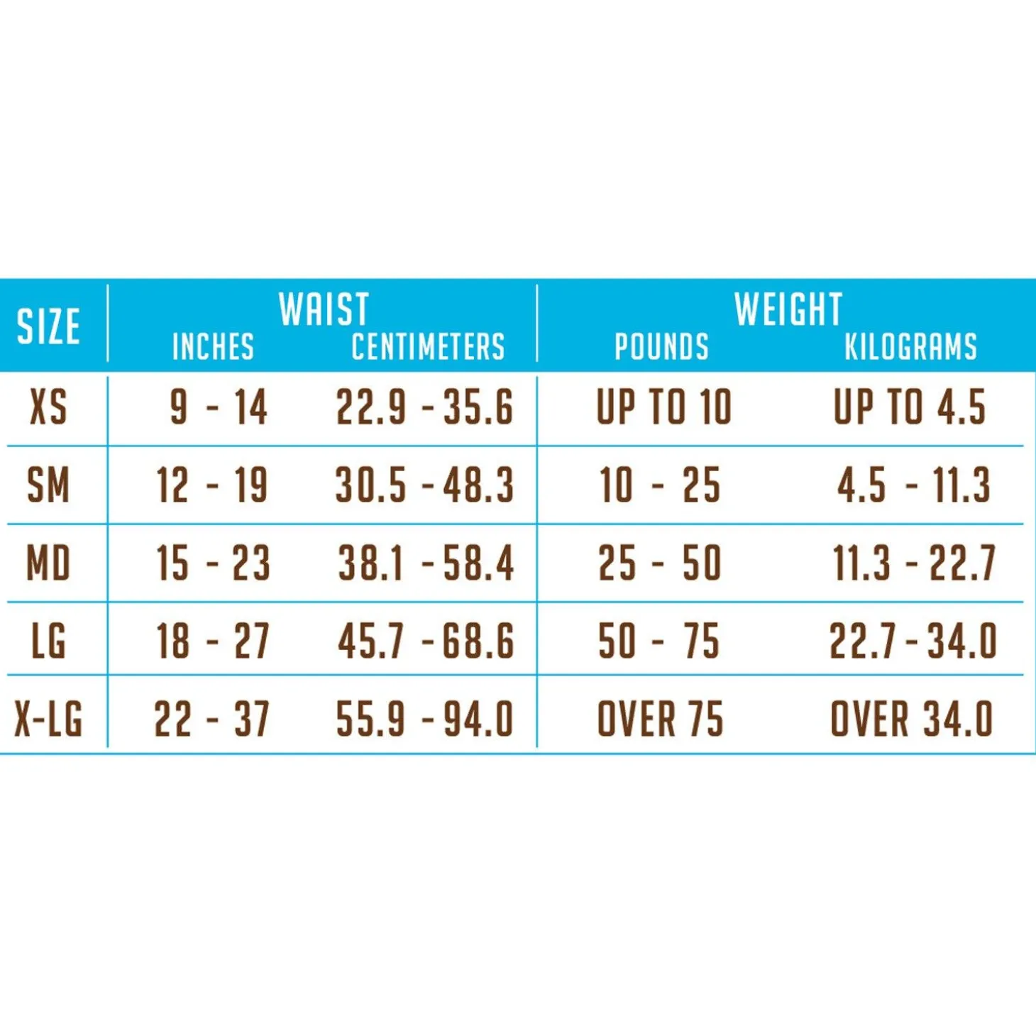 Disposable Diaper - 12 Pack