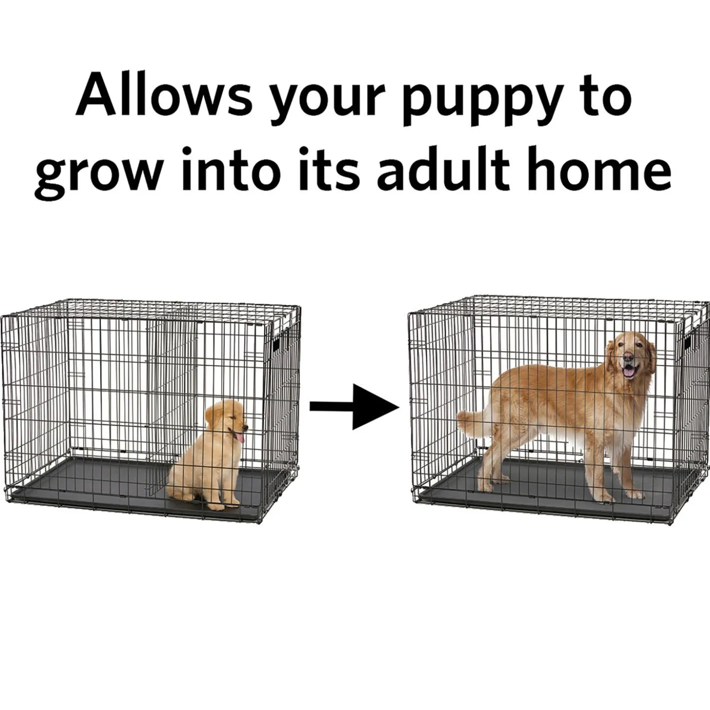 Divider Panel for Pet Crate