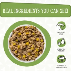 Dogs in the Kitchen Lamburgini with Lamb & Pumpkin Adult Dog Food