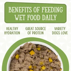 Dogs in the Kitchen Lamburgini Lamb & Pumpkin Adult Dog Food