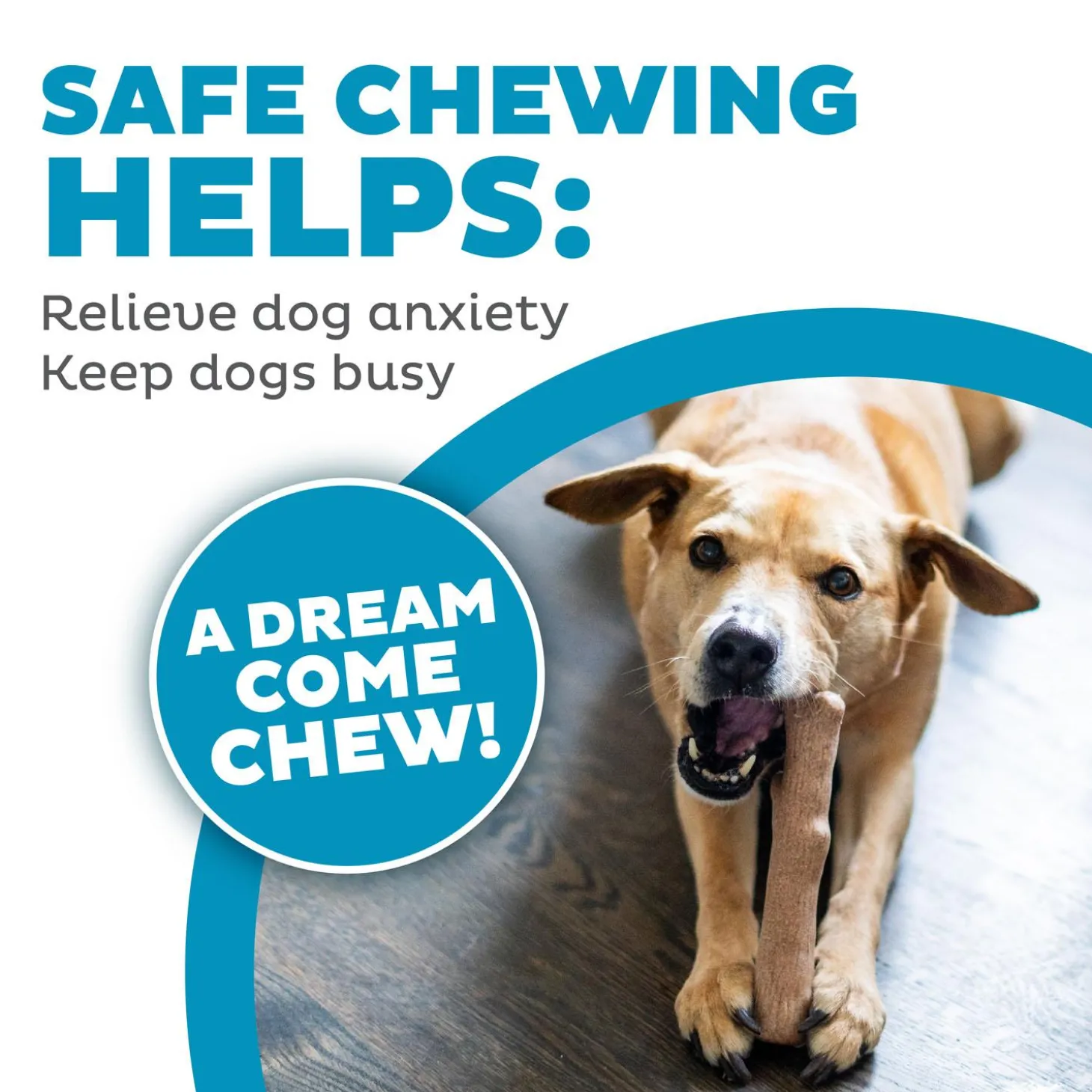 Dogwood Calming Medium Dog Toy 2 Pack