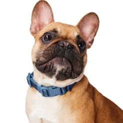 Dusty Blue Reflective Cushion Neoprene Padded Dog Collar