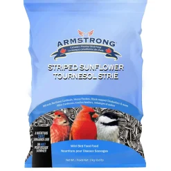 Easy Pickens Striped Sunflower Seeds