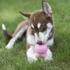 Easy Treat Puppy Dog Treat