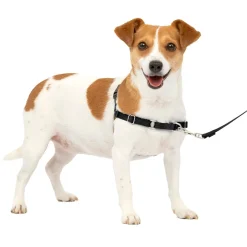 Easy Walk Adjustable Black & Silver Harness