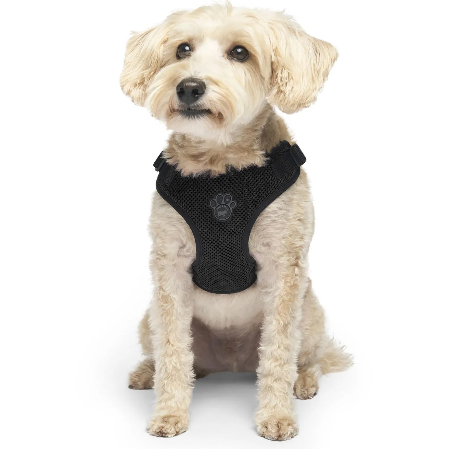 Easy-On Step-In Black Dog Harness