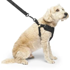 Easy-On Step-In Black Dog Harness