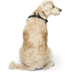 Easy-On Step-In Black Dog Harness