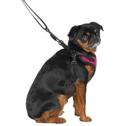 Easy-On Step-In Plum Dog Harness