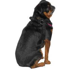 Easy-On Step-In Plum Dog Harness