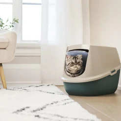 Eco-Friendly Green Hooded Litter Box