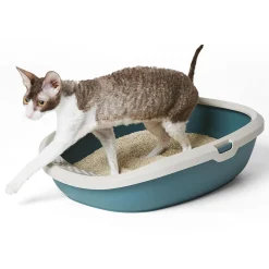 Eco-Friendly Green Litter Pan